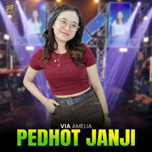 Via Amelia的专辑Pedhot Janji