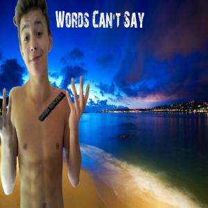 Listen to Words Can't Say song with lyrics from Shawn Neirynck
