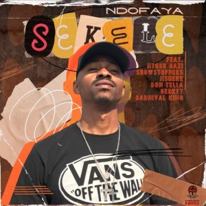 Listen to Sekele song with lyrics from Ndofaya
