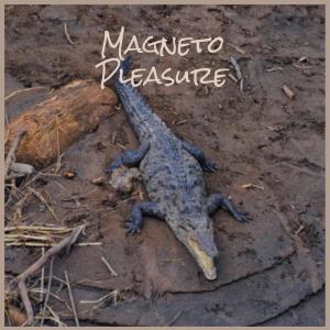 Listen to Magneto Pleasure song with lyrics from Luan Romy