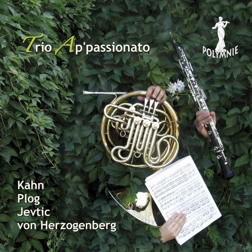Trio, Op. 61: IV. Allegro (其他)