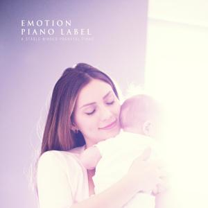 Various Artists的專輯A Stable Minded Prenatal Piano