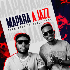 ดาวน์โหลดและฟังเพลง Nguwe (feat. Thuber wizy) พร้อมเนื้อเพลงจาก Mapara A Jazz