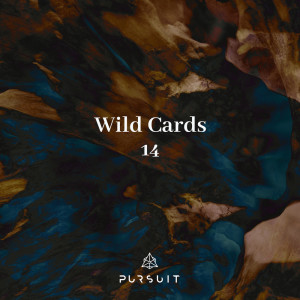 Bob Tosh的專輯Wild Cards 14
