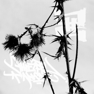 Album Абстракт-абсурд (Explicit) from Skato
