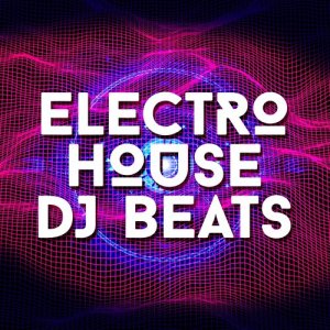 ดาวน์โหลดและฟังเพลง Touch It พร้อมเนื้อเพลงจาก Electro House DJ