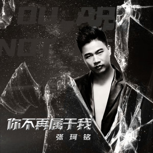 Dengarkan lagu 你不再属于我 (完整版) nyanyian 张珂铭 dengan lirik