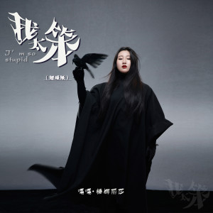 Album 我太笨 (烟嗓版) from 锤娜丽莎