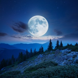 ดาวน์โหลดและฟังเพลง Orquesta Para Dormir Con Flujo Balanceado พร้อมเนื้อเพลงจาก Maravilla silenciosa