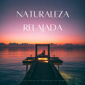 Naturaleza Relajada: Un Paisaje Marino De Concentración Tranquila dari Música Inteligente