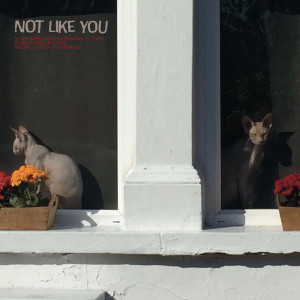 收聽Loomer的Never Say Goodbye歌詞歌曲