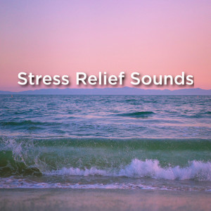 Listen to Therapeutic Water Ocean song with lyrics from Ocean Sounds