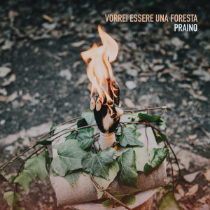 Album Vorrei essere una foresta from 