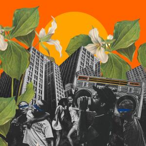 default playlist img