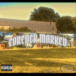 Album forever marked (feat. Big Moi & Lil Black) (Explicit) oleh Heavy Hustle Music