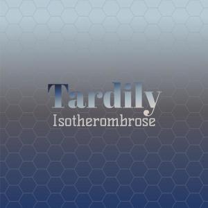 Various的专辑Tardily Isotherombrose