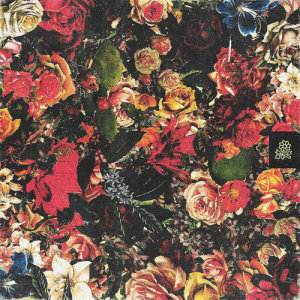 ดาวน์โหลดและฟังเพลง Just In Case (Explicit) พร้อมเนื้อเพลงจาก Jazz Cartier