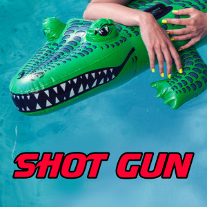 Listen to Shot Gun song with lyrics from Shehzad Ali