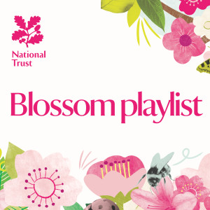 Chopin----[replace by 16381]的專輯National Trust: Kingston Lacy’s Blossom Playlist