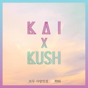 Listen to 모두 사랑인걸 (Instrumental) song with lyrics from Kai（韩国）