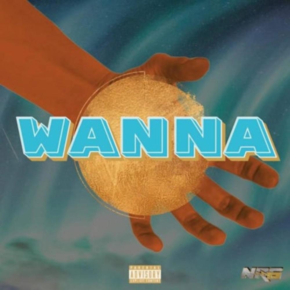 Wanna (feat. AO) (Explicit)