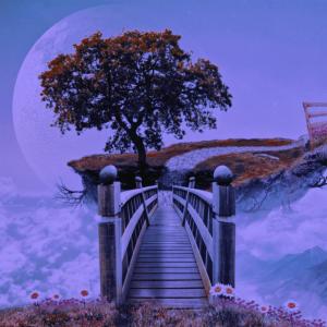 Listen to FallTrees song with lyrics from sunnysider