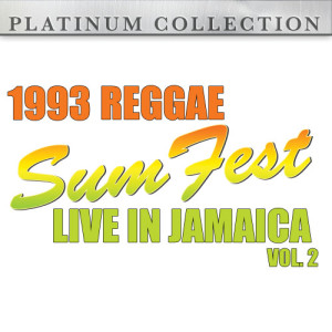 Various Artists的專輯1993 Reggae Sumfest - Live in Jamaica Vol. 2