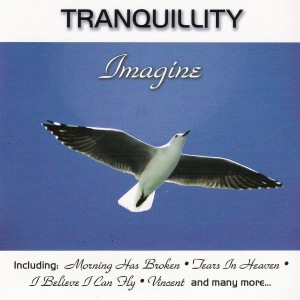 ดาวน์โหลดและฟังเพลง Tears In Heaven พร้อมเนื้อเพลงจาก Paul Brooks
