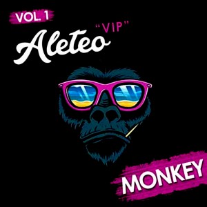 DJ Fle的專輯Aleteo Vip Monkey Vol.1 (Explicit)