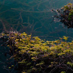 Dengarkan Mental Well Being lagu dari Pro Sounds of Nature dengan lirik