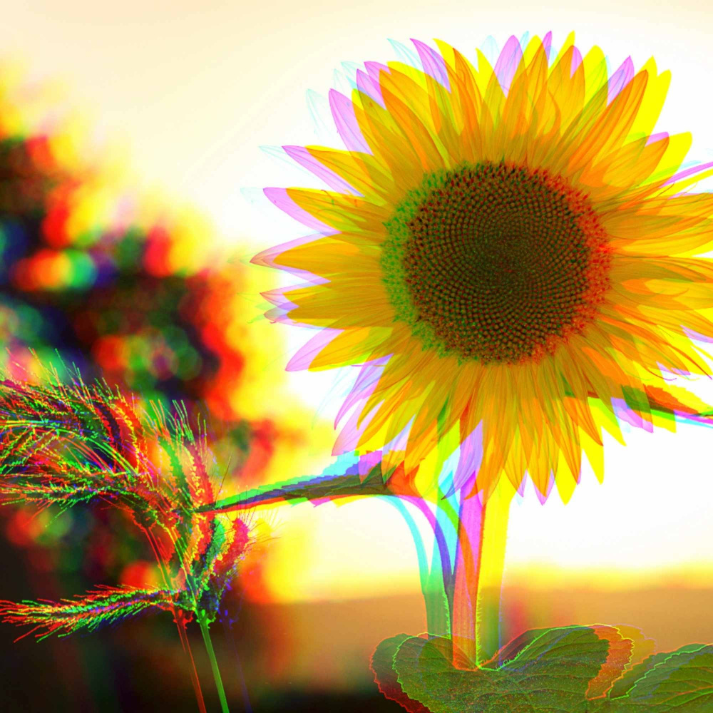 Energetic Infinite Days