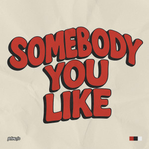 Album Somebody You Like from primo.io