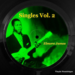 Listen to Dark and Dreary song with lyrics from Elmore James