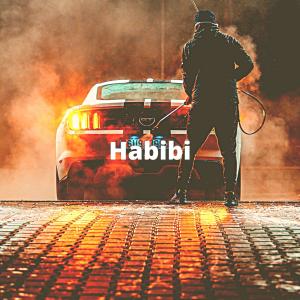 Listen to Habibi Slowed + Reverb (Explicit) song with lyrics from Group Star