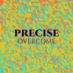 Various的专辑Precise Overcome