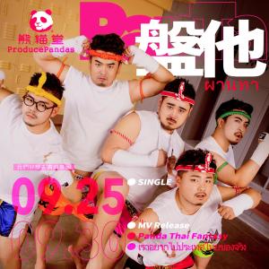 Listen to Pan Ta (Ban Zou) (原版伴奏) song with lyrics from 熊猫堂ProducePandas