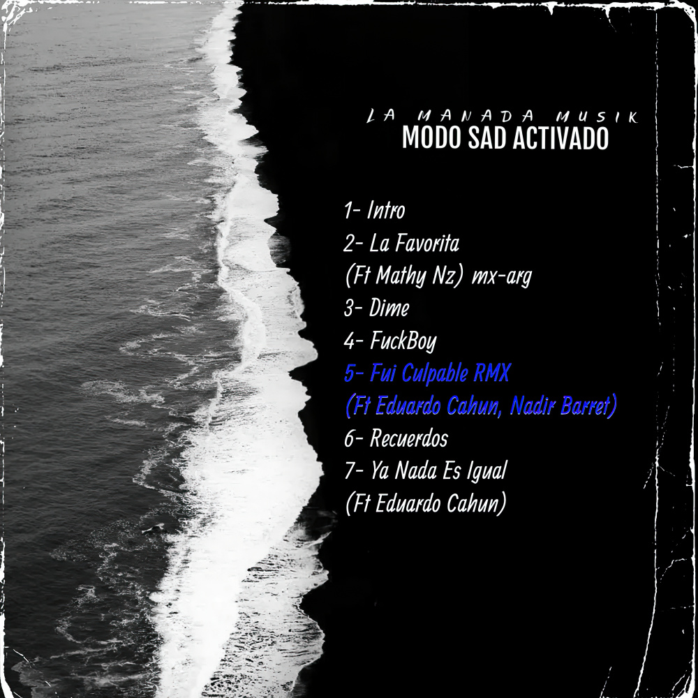 Fui Culpable (Remix)
