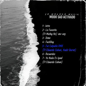 ดาวน์โหลดและฟังเพลง Fui Culpable (Remix) พร้อมเนื้อเพลงจาก Nadir barret