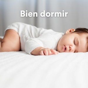 Berceuse Pour Bébé的專輯Bien dormir (Berceuses pour bien dormir)