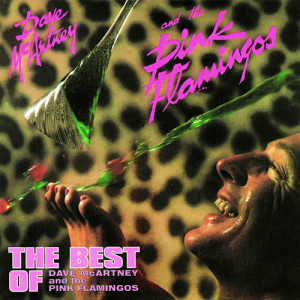 ดาวน์โหลดและฟังเพลง I'm In Heaven พร้อมเนื้อเพลงจาก Dave McArtney and The Pink Flamingos