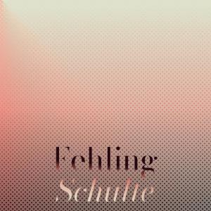 Various的专辑Fehling Schulte
