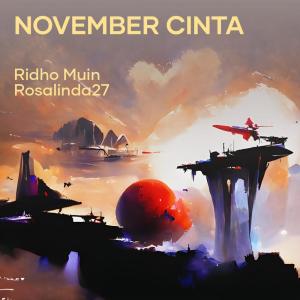 Ridho Muin的专辑November Cinta