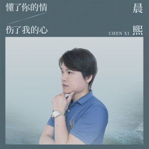 Listen to 懂了你的情伤了我的心 song with lyrics from 晨熙