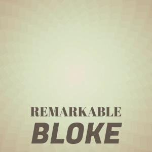 Various的专辑Remarkable Bloke