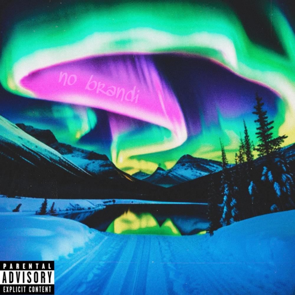 no brandi (Explicit)