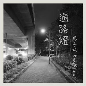 Listen to Streetlight song with lyrics from 廖子培
