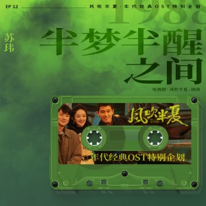 Album 半梦半醒之间 (《风吹半夏》年代经典OST特别企划) from 苏玮