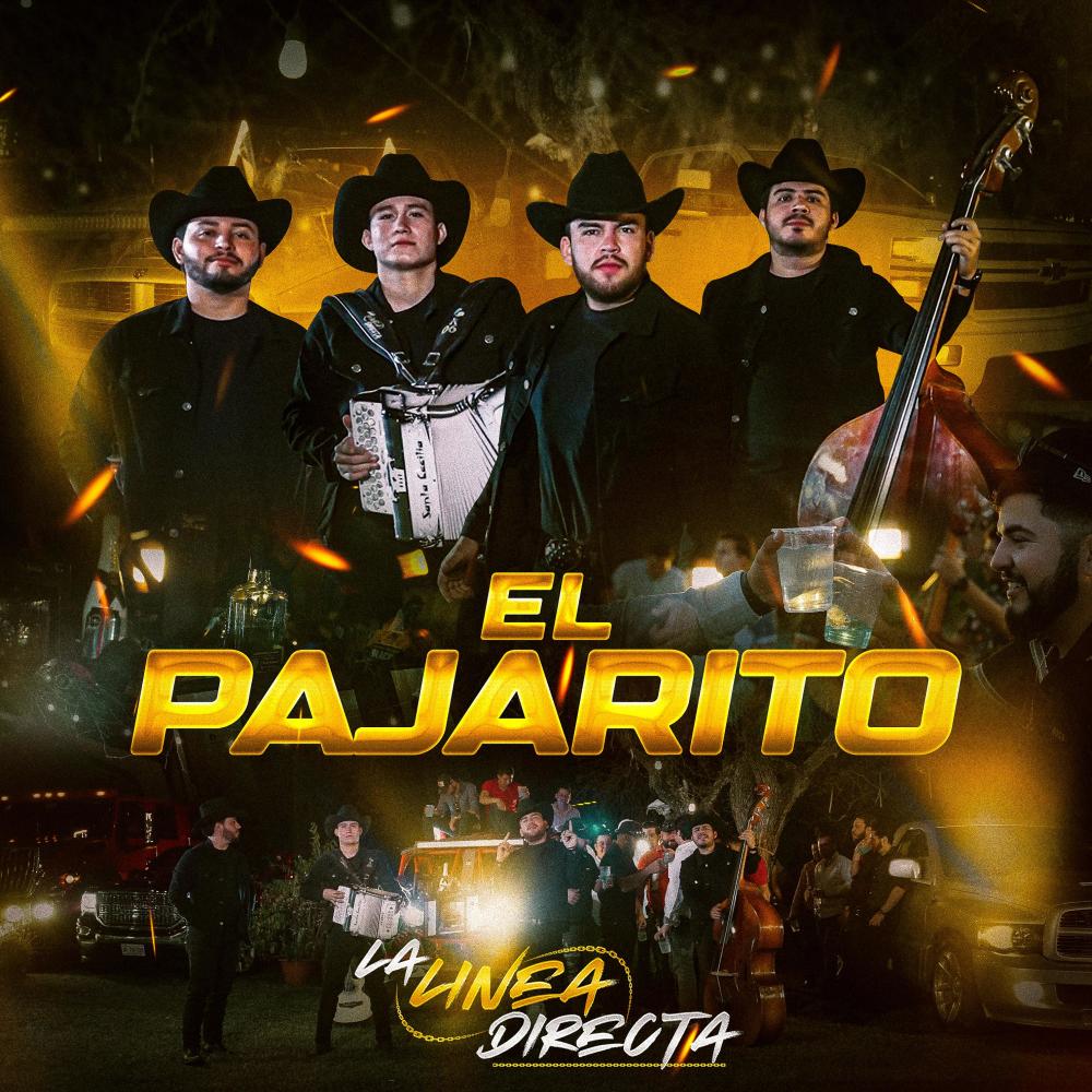 El Chiste Es Caer Gordo "El Pajarito"