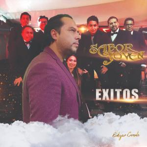 Album Grandes Exitos from Various Artists