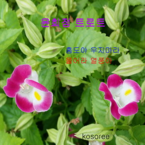 收聽윤희정的단장의 미아리고개歌詞歌曲
